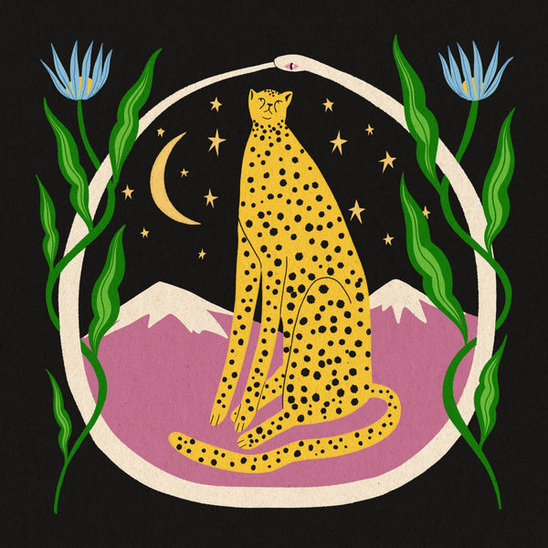 Cheetah
