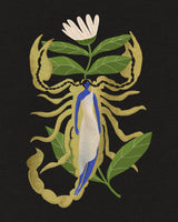 Scorpio